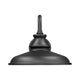 RLM 1-Light Outdoor Wall Light