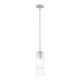 Alton 1-Light Pendant
