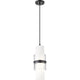 Cayden 1-Light Pendant