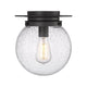 Calhoun 1-Light Flush Mount