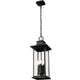 Tiberius 4-Light Outdoor Pendant