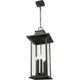 Tiberius 6-Light Outdoor Pendant