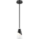 828P6-ROD-MB