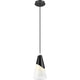 Aimie 1-Light Pendant