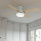 Dempsey Low Profile Fan with Light 52"
