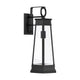 Payne 1-Light Outdoor Wall Lantern