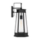 Payne 1-Light Outdoor Wall Lantern