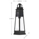 Payne 1-Light Outdoor Wall Lantern