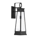 Payne 1-Light Outdoor Wall Lantern