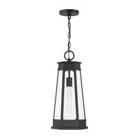 Payne 1-Light Outdoor Hanging Lantern