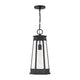 Payne 1-Light Outdoor Hanging Lantern