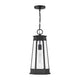 Payne 1-Light Outdoor Hanging Lantern