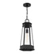 Payne 1-Light Outdoor Hanging Lantern