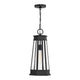 Payne 1-Light Outdoor Hanging Lantern
