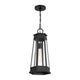 Payne 1-Light Outdoor Hanging Lantern