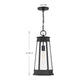 Payne 1-Light Outdoor Hanging Lantern
