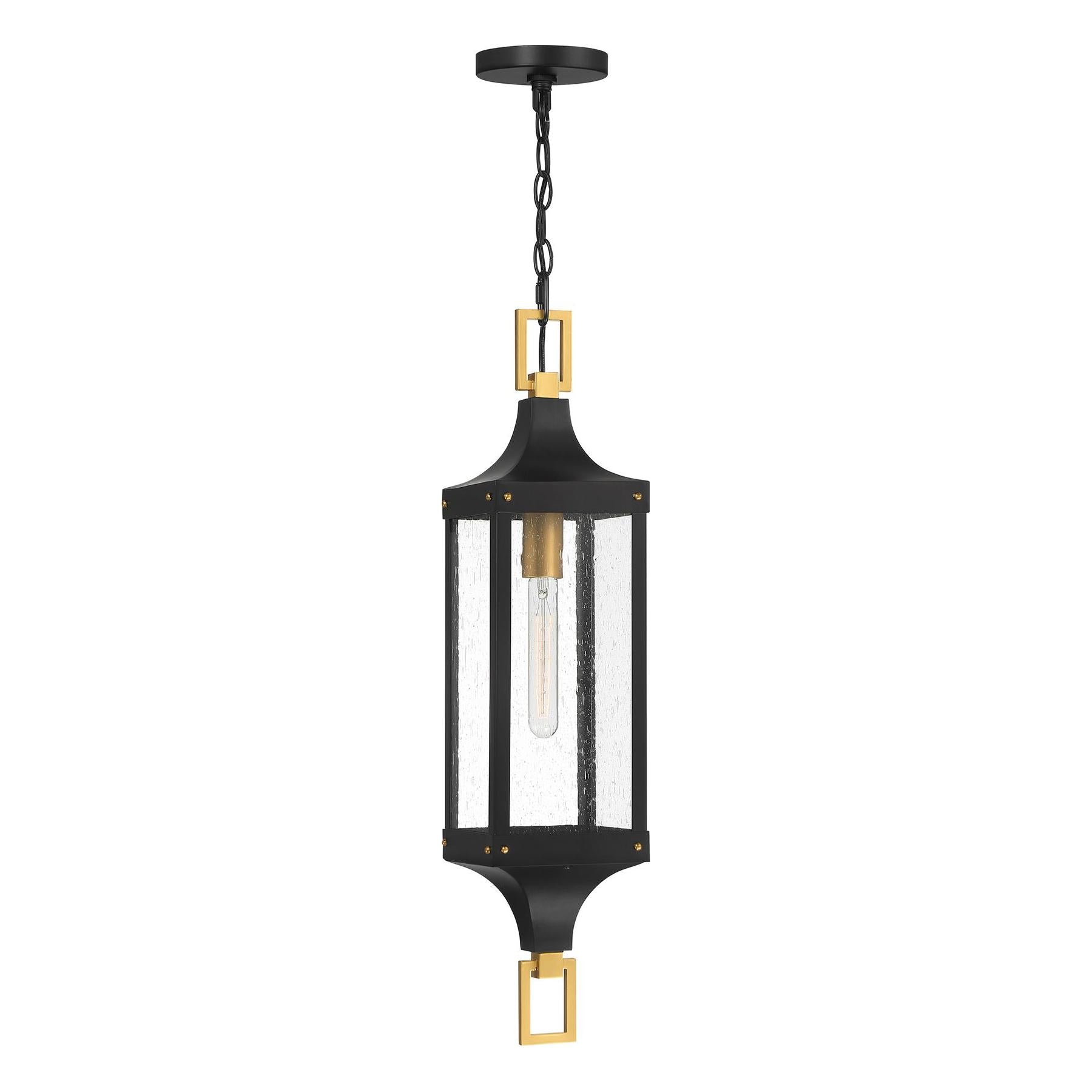 Glendale 1-Light Outdoor Hanging Lantern