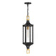 Glendale 1-Light Outdoor Hanging Lantern