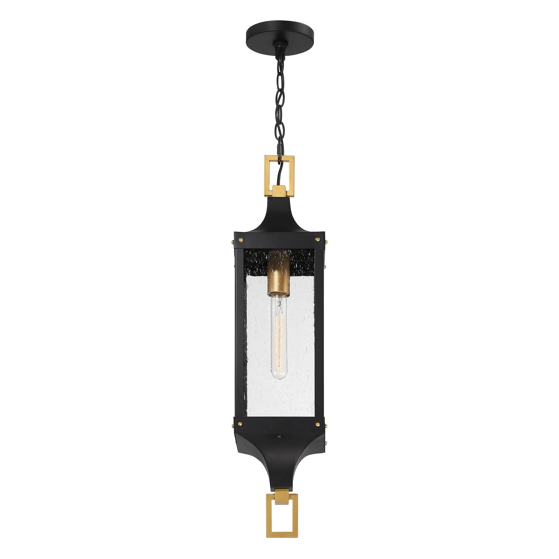 Glendale 1-Light Outdoor Hanging Lantern