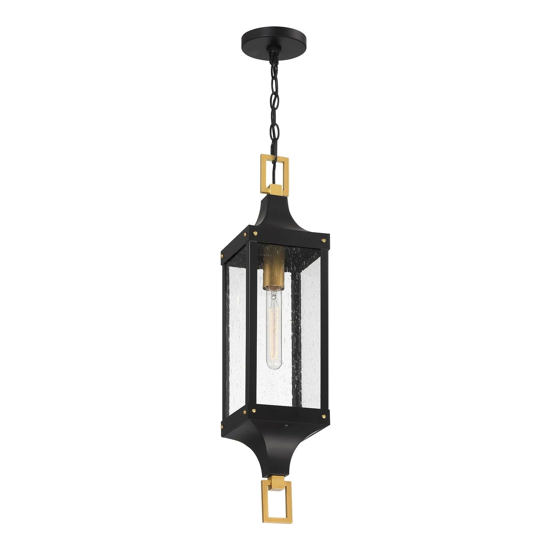 Glendale 1-Light Outdoor Hanging Lantern