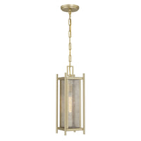 Jacobs 1-Light Outdoor Hanging Lantern