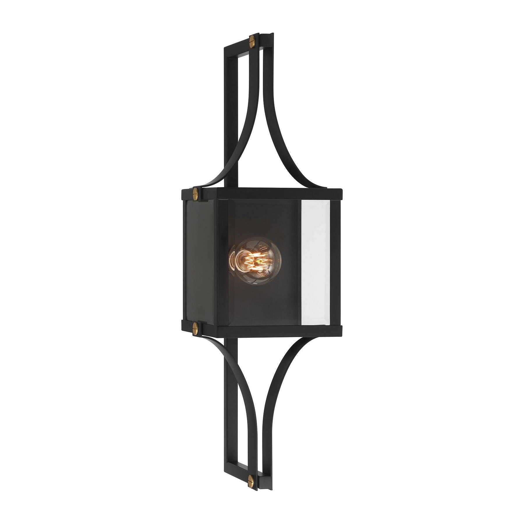 Raeburn 1-Light Outdoor Wall Lantern