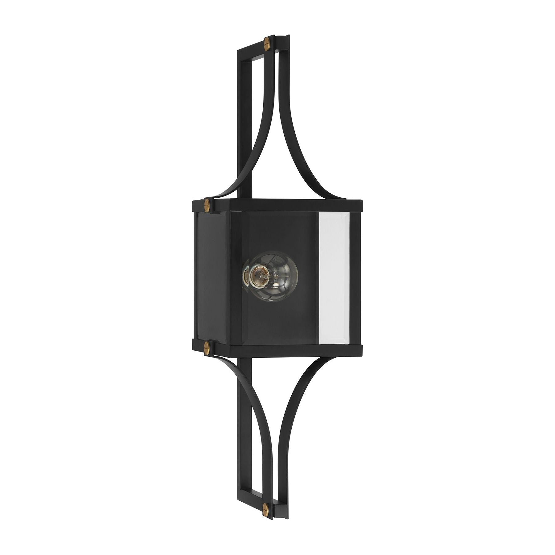 Raeburn 1-Light Outdoor Wall Lantern