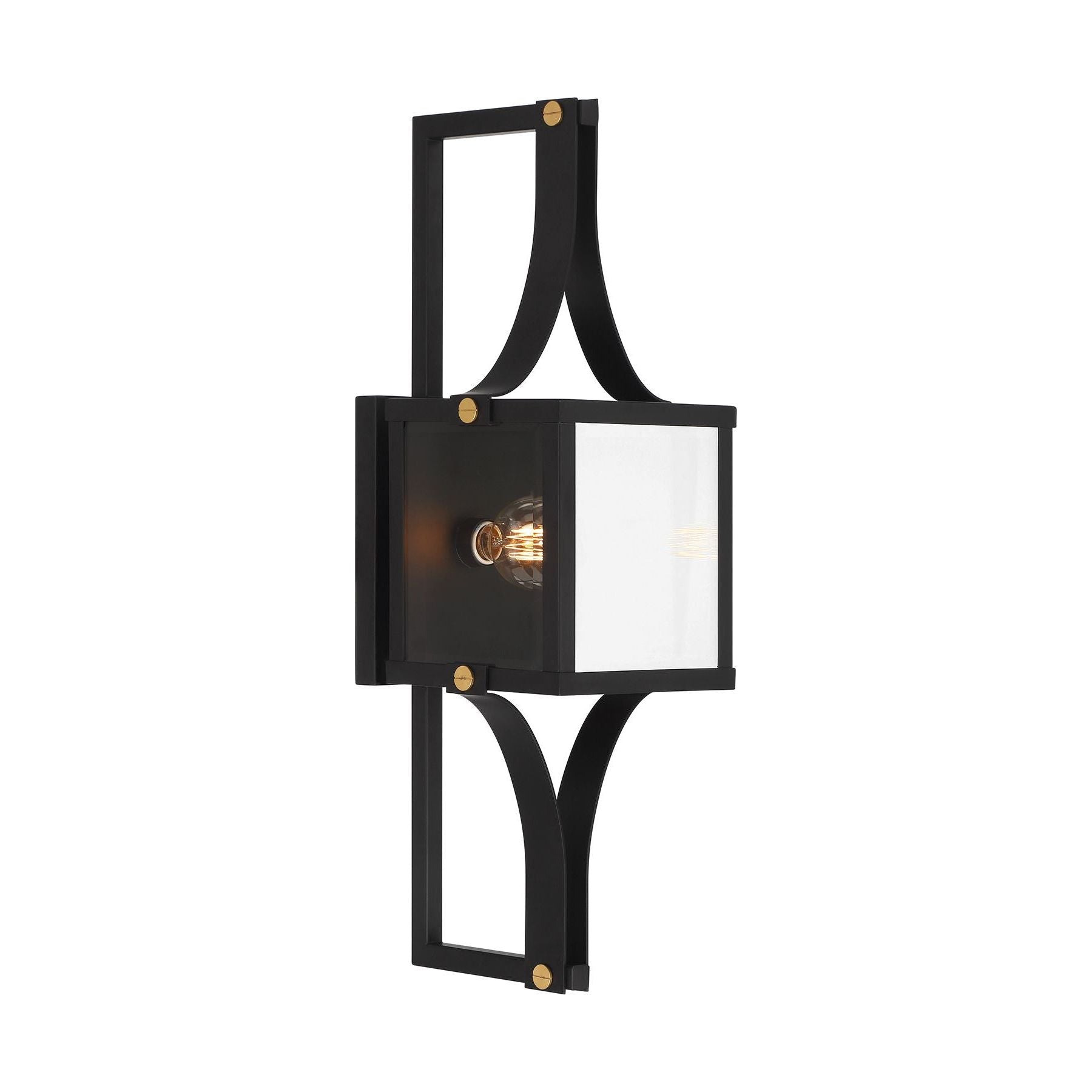 Raeburn 1-Light Outdoor Wall Lantern