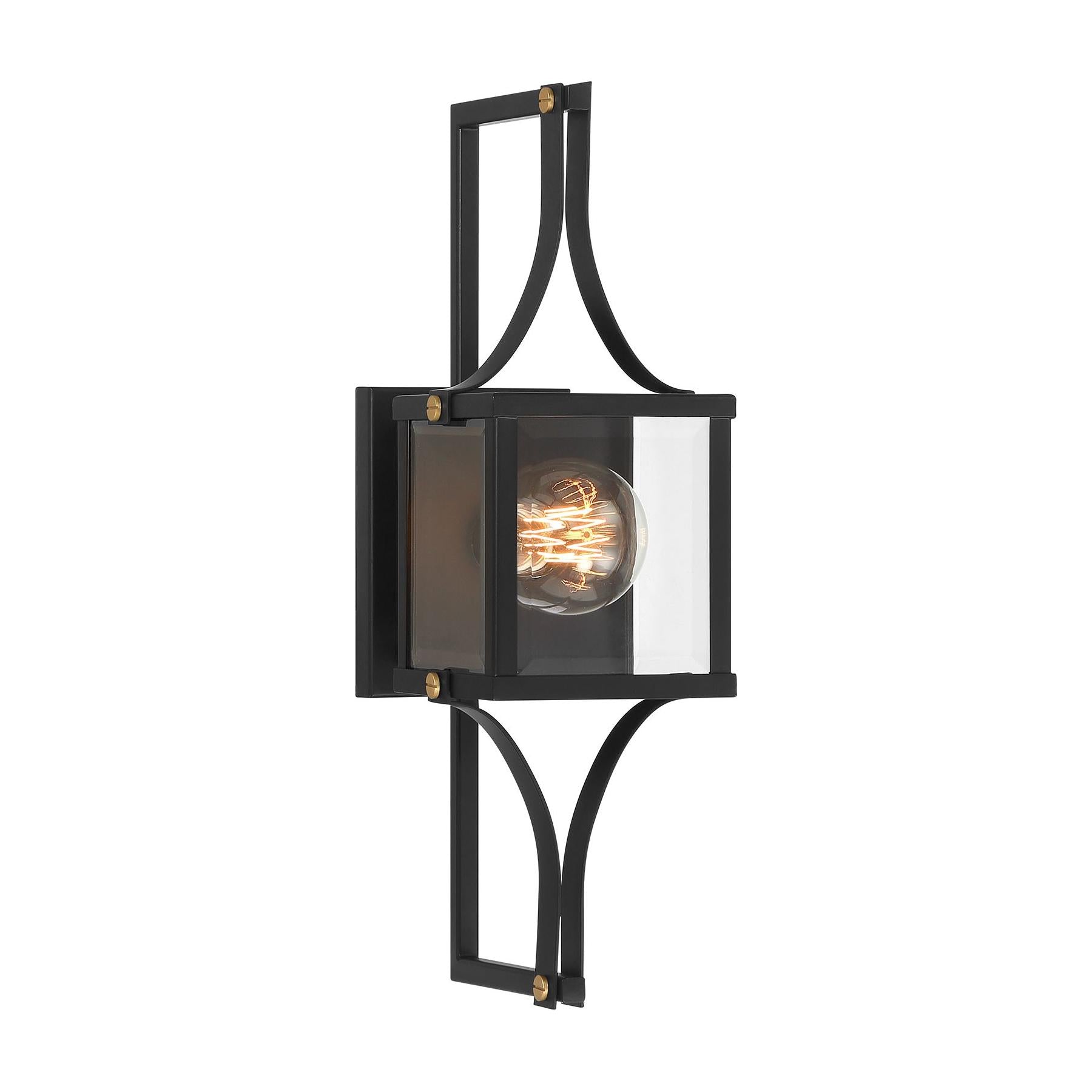 Raeburn 1-Light Outdoor Wall Lantern