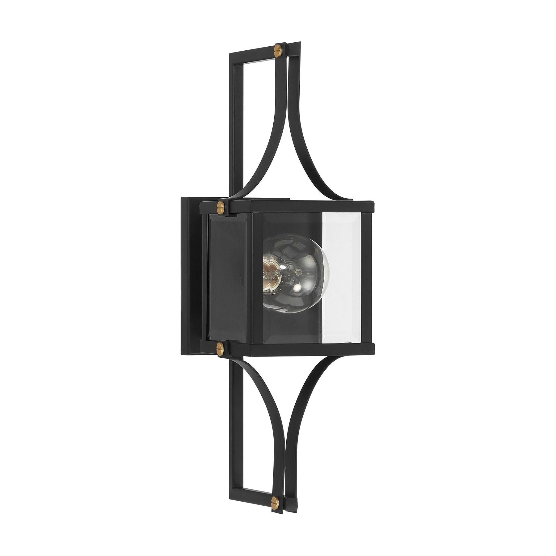 Raeburn 1-Light Outdoor Wall Lantern