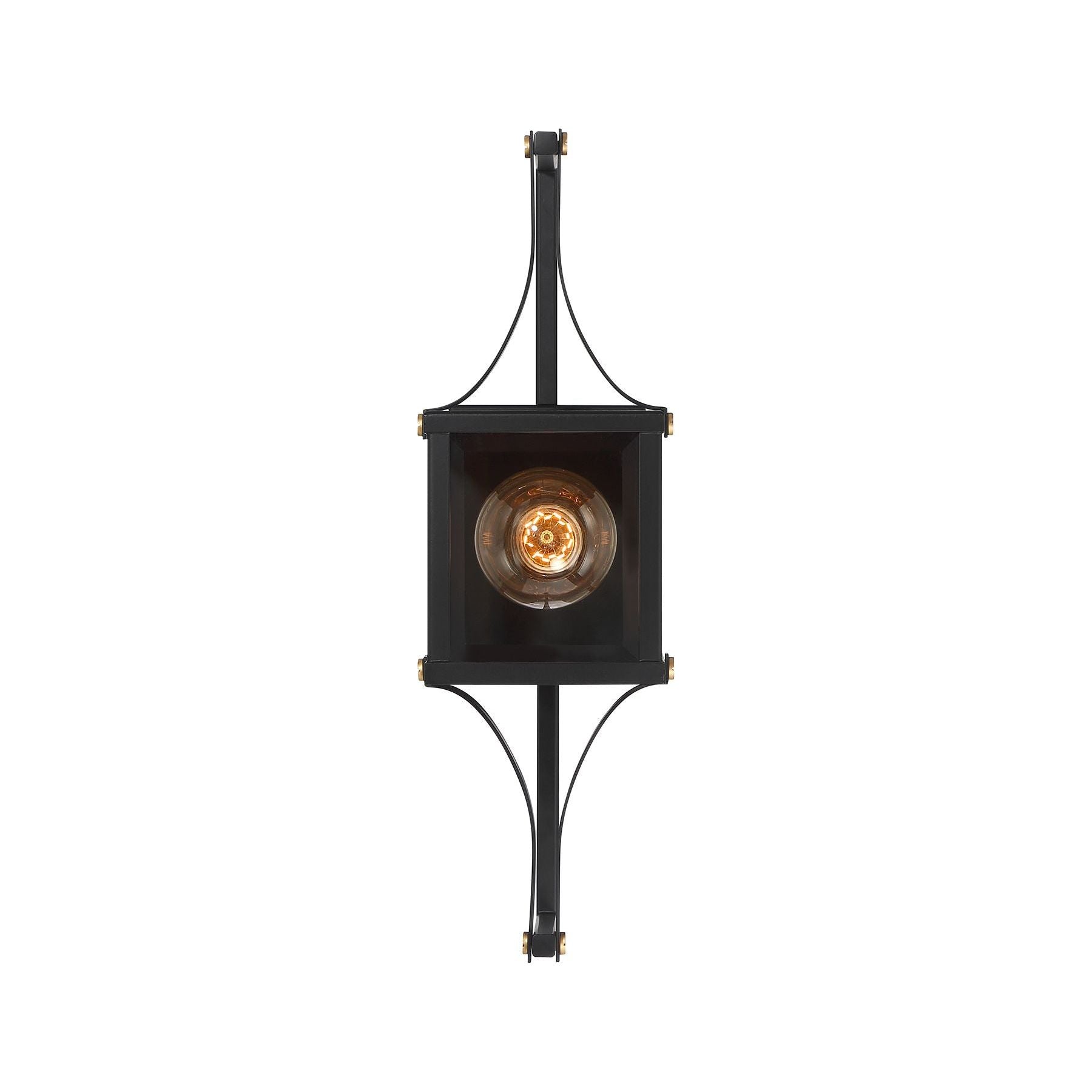 Raeburn 1-Light Outdoor Wall Lantern