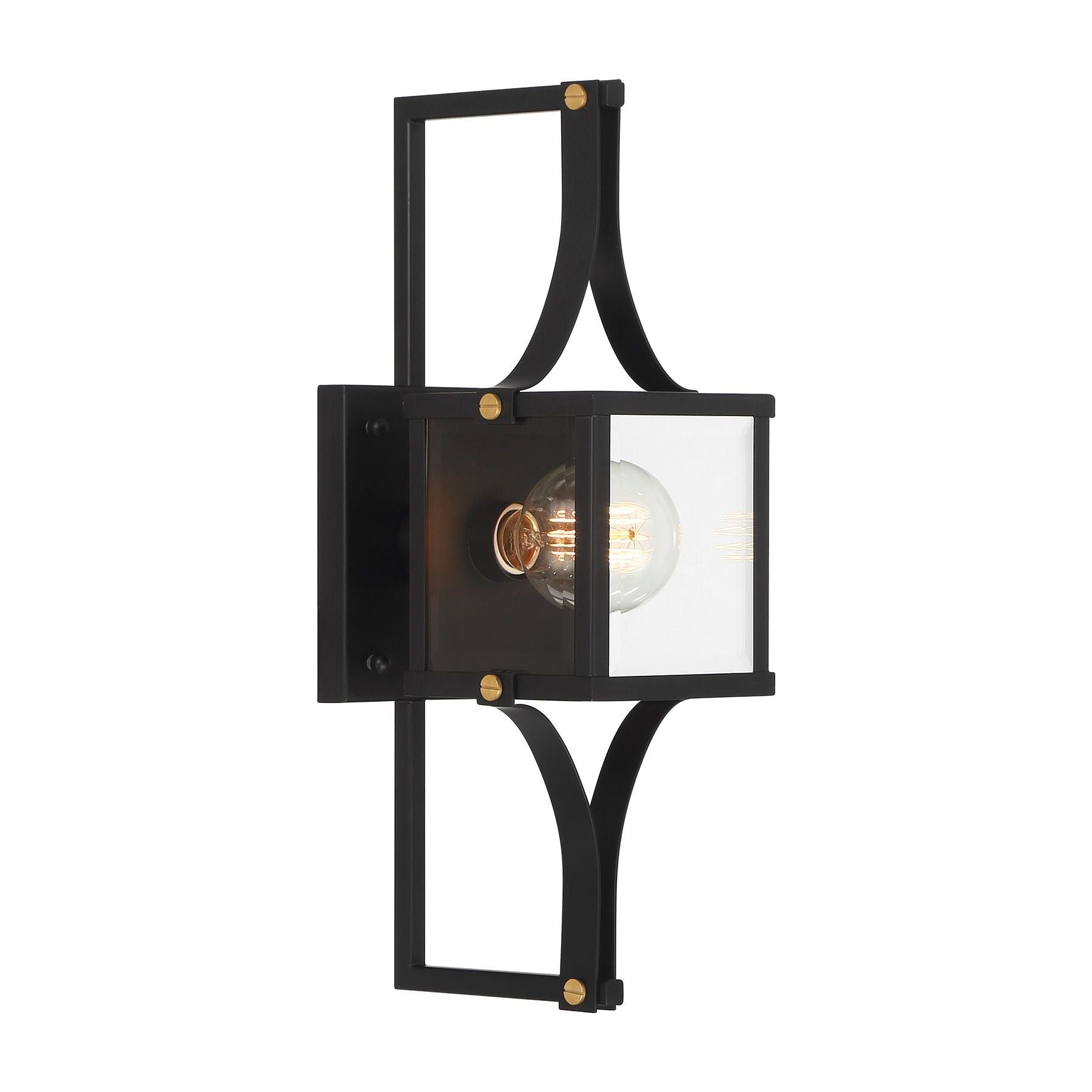 Raeburn 1-Light Outdoor Wall Lantern