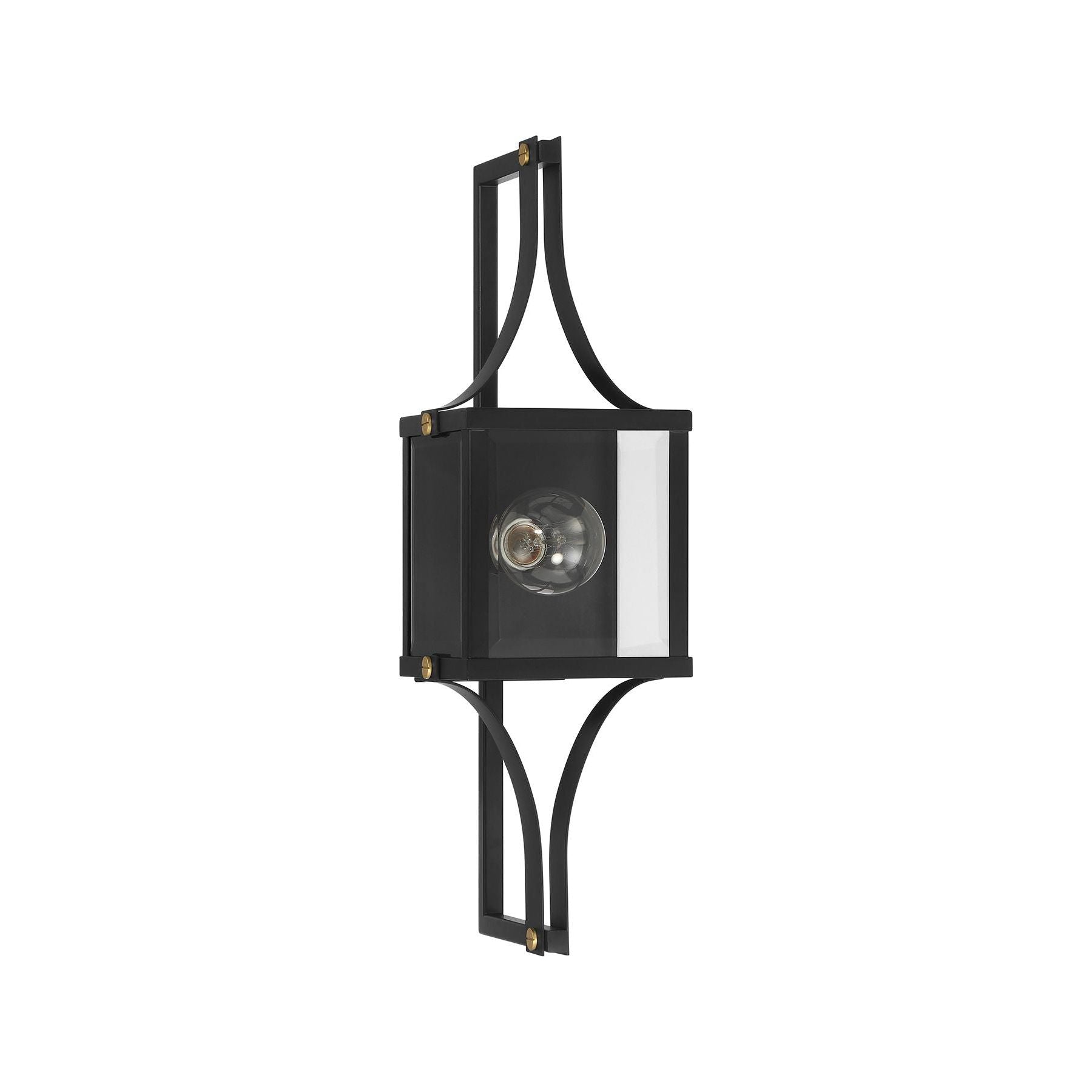 Raeburn 1-Light Outdoor Wall Lantern