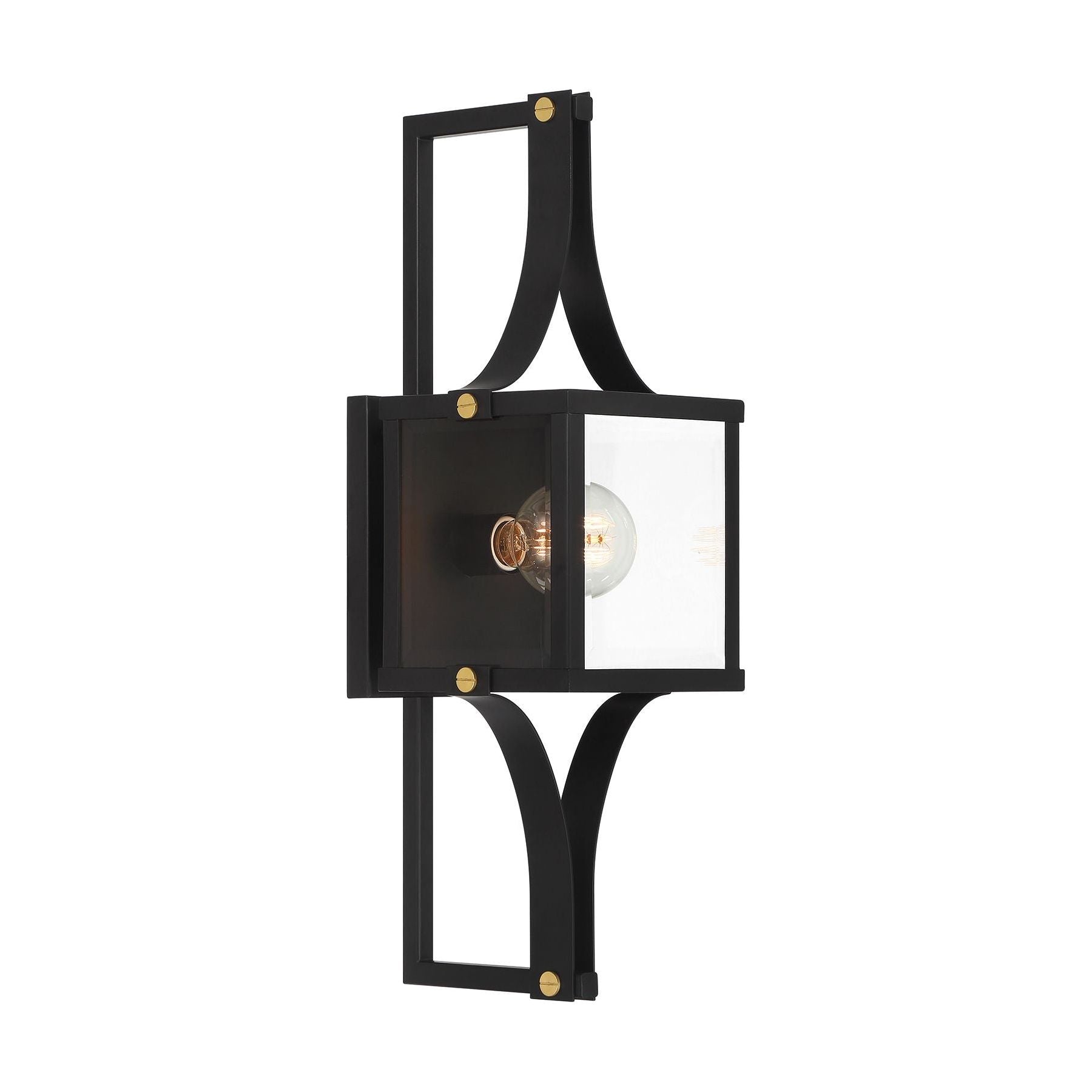 Raeburn 1-Light Outdoor Wall Lantern