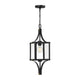 Raeburn 1-Light Outdoor Hanging Lantern