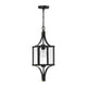 Raeburn 1-Light Outdoor Hanging Lantern