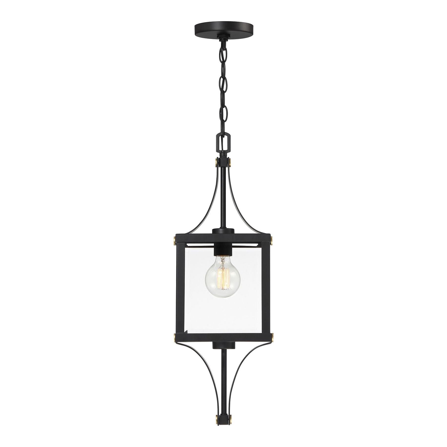 Raeburn 1-Light Outdoor Hanging Lantern