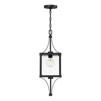 Raeburn 1-Light Outdoor Hanging Lantern
