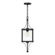 Raeburn 1-Light Outdoor Hanging Lantern