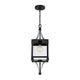 Raeburn 1-Light Outdoor Hanging Lantern