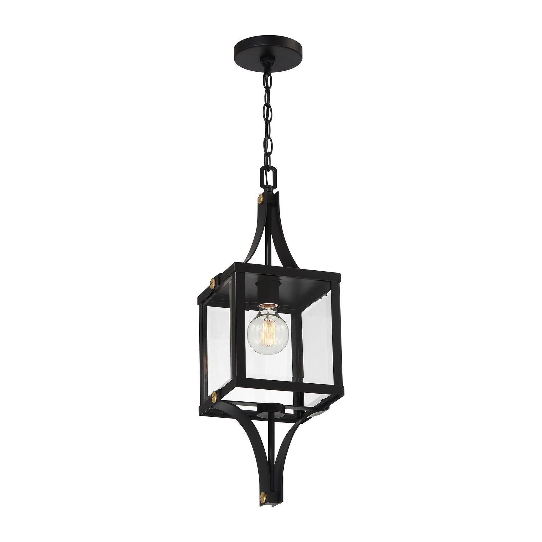 Raeburn 1-Light Outdoor Hanging Lantern