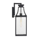 Emery 1-Light Outdoor Wall Lantern