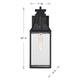 Emery 1-Light Outdoor Wall Lantern