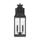 Emery 2-Light Outdoor Wall Lantern