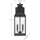 Emery 2-Light Outdoor Wall Lantern