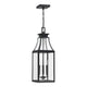 Emery 3-Light Outdoor Hanging Lantern