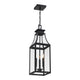 Emery 3-Light Outdoor Hanging Lantern