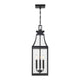 Emery 3-Light Outdoor Hanging Lantern