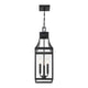 Emery 3-Light Outdoor Hanging Lantern