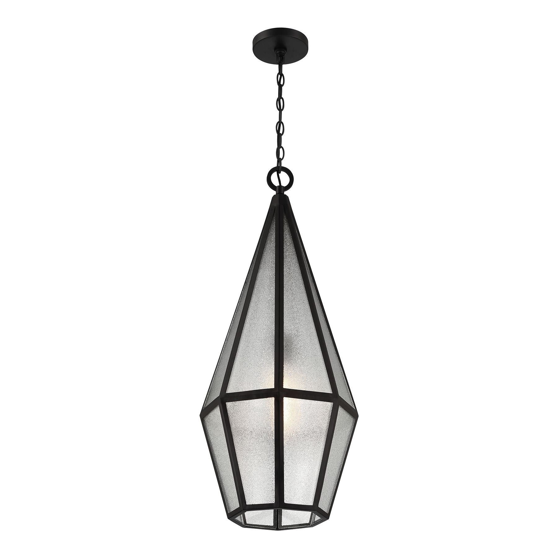 Peninsula 1-Light Outdoor Hanging Lantern